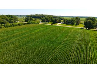 Property photo 17 - LAND AUCTION - 75.2+/- ACRES OFFERED IN 7 TRACTS IN ST. JOSEPH CO., INDIANA